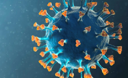 Het corona virus