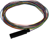 UCS Fan Out kit 12 fibers 900mu  1,2m-2