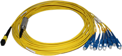 micro BO 8c SM MPO F-8xSC/PC 10,0m Op=Op
