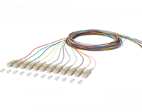 UCS Pigtailset OM1, SC/UPC, 2m 12 stuk(s)